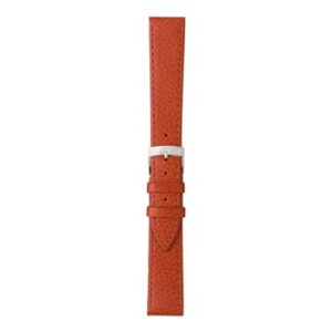 An DUBLINO L.BRN A01D0753333037CR12 watch strap on a white background.