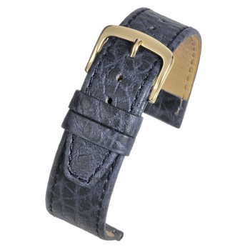 An alligator BLUE VEGETABLE LEATHER (G) - W908/12 strap with a gold buckle.